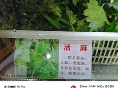 -黔府豆米火锅野菜馆(南马店)