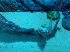 -绿色星球动物主题公园