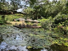 -海南热带野生动植物园