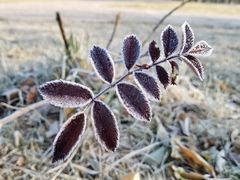 -长春公园(普阳街道)