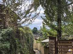 -杨家堂村