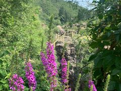 -百里山水画廊乌龙峡谷