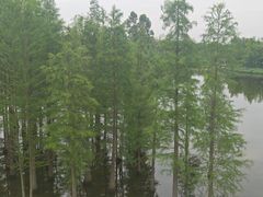 -白鹭湾湿地公园