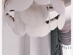 -食神鱼头佛跳墙(百子湾旗舰店)