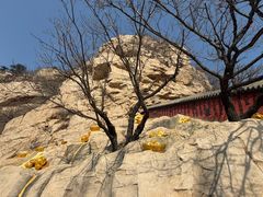 -青岩寺风景区