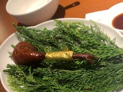 -觀芷隐轩