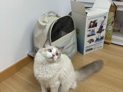 -稻荷日麻社