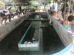 -小象钓虾·营地烧烤(洛溪店)