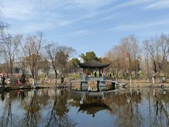 -武汉园博园(武汉自然博物馆)