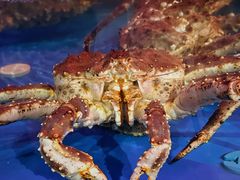 -The Boiling Crab宝灵蟹手抓海鲜(中国首店)
