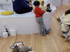 -COLOR PETS 撸猫馆·购猫·猫咖(长风大悦城店)