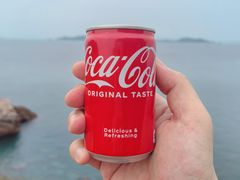 -鹿嘴山庄