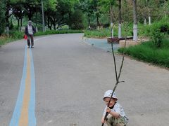 -永定河休闲森林公园