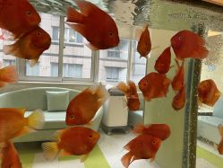 -杭州贝瑞斯美华妇儿医院·早孕·产检·儿科