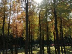 -晓港公园