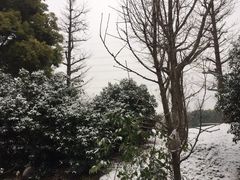 -阳江河堤老牌曾记美食