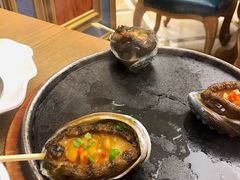 石锅大鲍鱼-品海楼·大连海胆锅贴馆(东港店)