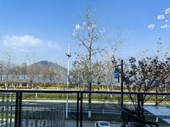 -宝荣鱼馆·临湖之宴(千岛湖店)