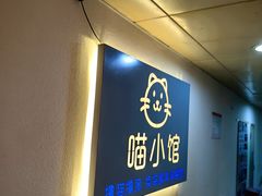 -喵小馆·猫咖狗咖猪咖·饮品店