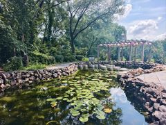 -沈阳植物园