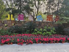 -合肥滨湖国家森林公园