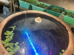 -锦上中式酒馆(南内环店)