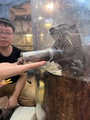 -Zoolung Zoolung动物主题公园(海信广场店)