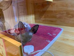 -SFC上影影城(成都科华IMAX店)