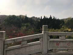 -白马涧龙池景区