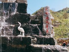 -大岭沟猕猴桃谷风景区