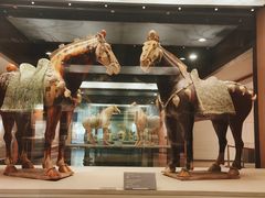 -西安大唐西市博物馆