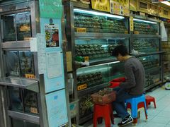 -江记大闸蟹专门店