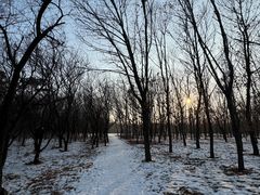 -长春市南湖公园