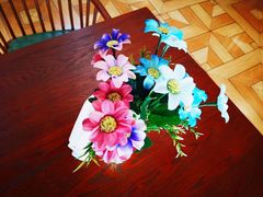 -兴芮温泉度假区