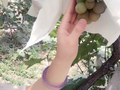 -马陆小张葡萄园农家乐