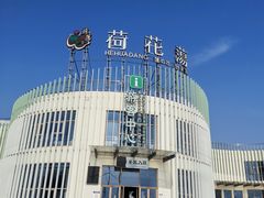 -荷花荡