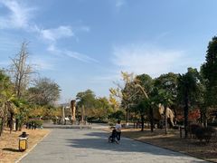 -金钉子远古世界景区