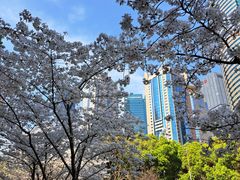 -陆家嘴中心绿地