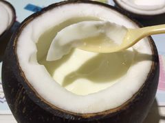 -志龙皇冠吃货椰子铺