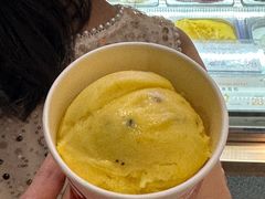 -iceason爱茜茜里·意大利健康冰淇淋(骑龙巷店)