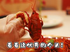 -袁老大龙虾(石鼓路总店)