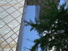 -中央广播电视总台(光华路办公区)