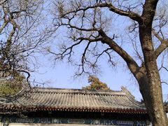 -北京艺术博物馆(万寿寺)