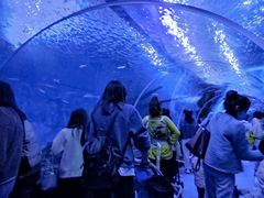 -多彩贵州城极地海洋世界
