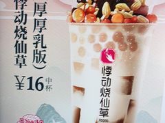 -悸动(吴泾宝龙广场店)