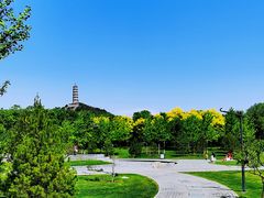 -北坞公园