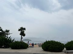 -傅家庄公园