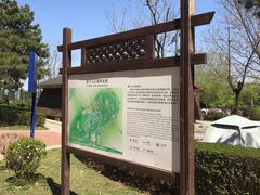 -莫子山公园