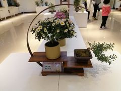 -汇龙潭