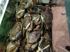 -金椰壳· 大厨新加坡菜(壹方城店)